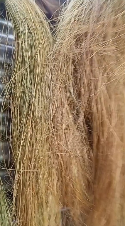 Fibra de pita desilachada